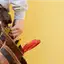 Handyman repair service in Dover, DE for home fixes and improvements