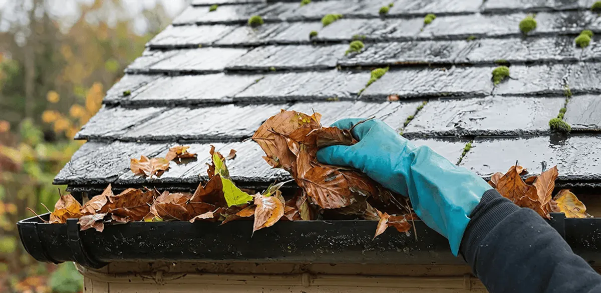 Gutter cleaning technician clearing wet leaves from roof gutters in Dover, DE
